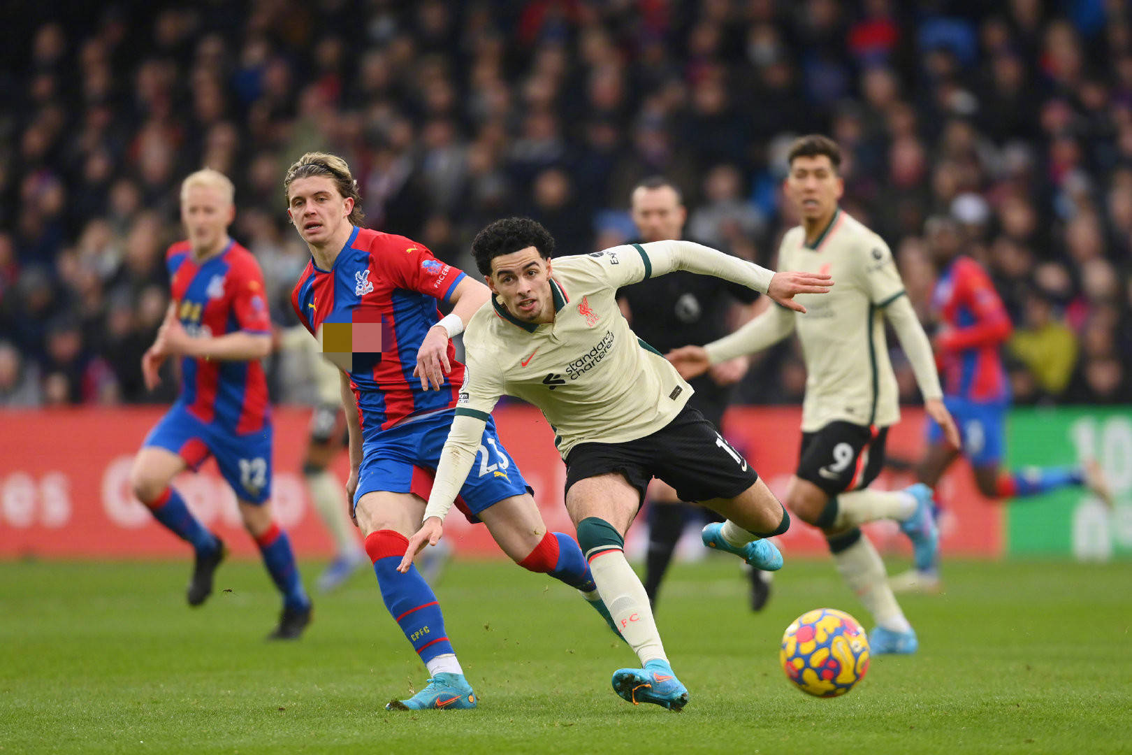 在国际赛场 在国际赛场